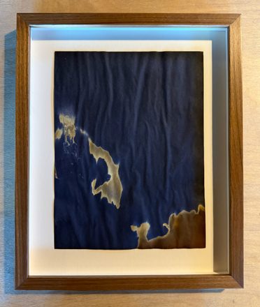 Le’Andra LeSeur — 32°22’ 59.40” N 81°11’ 26.40” W (Study 3)